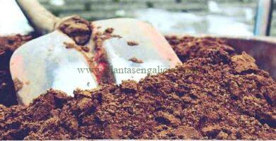 Carretilla con tierra. Imagen de TanteTati para Pixabay.