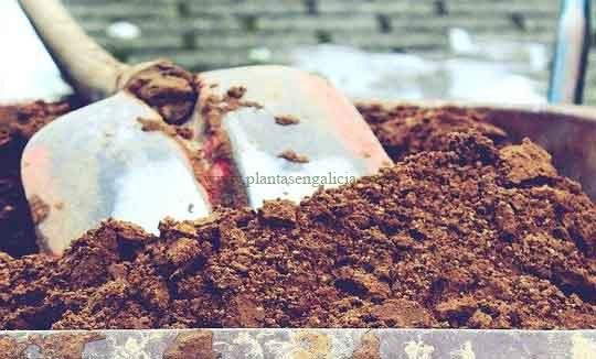 Carretilla con tierra. Imagen de TanteTati para Pixabay.