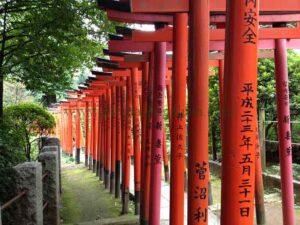 Puertas Torii japonesas.