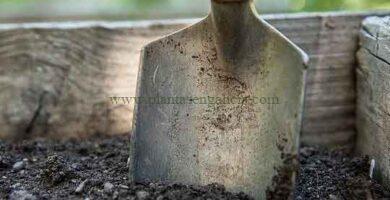 Pala en el jardín. Imagen de walkersalmanac en Pixabay.