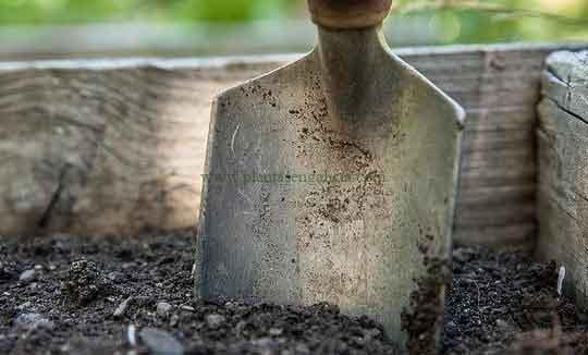 Pala en el jardín. Imagen de walkersalmanac en Pixabay.