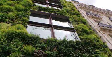 Imagen de Nara_Figueiredo en Pixabay.