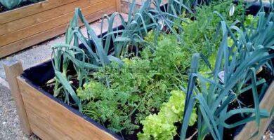 Imagen de Patricia_Maine_Degrave en Pixabay