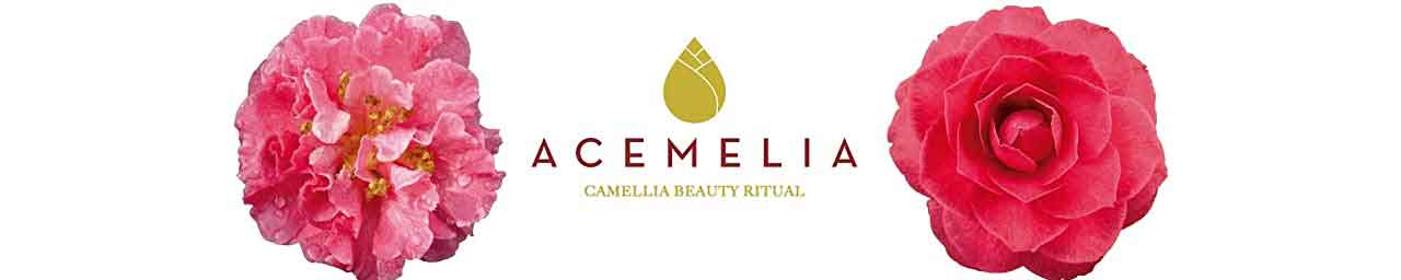 Acemelia, productos elaborados con aceite de camelia. Amazon. Plantas en Galicia.
