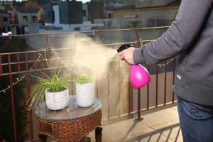 Pulverizador doméstico de gatillo. Plantas en Galicia.