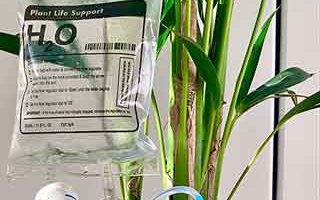 Bolsa de riego para regar las plantas en vacaciones. Amazon. Plantas en Galicia.