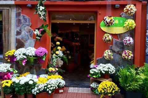 Flores Mapoula. Floristería a domicilio A Coruña con exposiciones de flores que adornan la calle.
