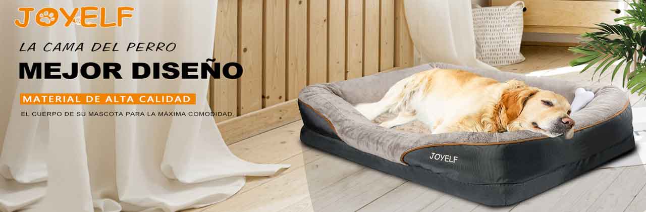 Descubre las camas para perros mejor diseñadas de Joyelf.