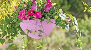 Ideas con macetas colgantes y una composición de flores.