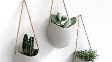 Maceta colgante de pared Ellie.