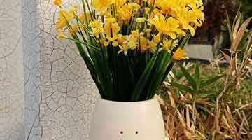 Maceta divertida de sobremesa para cultivar pequeños bulbos de flores.