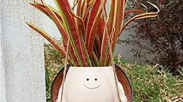 Macetas decoradas con caras y sus plantas de interior llenas de colorido.