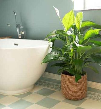 Macetas grandes de mimbre Decorasian.