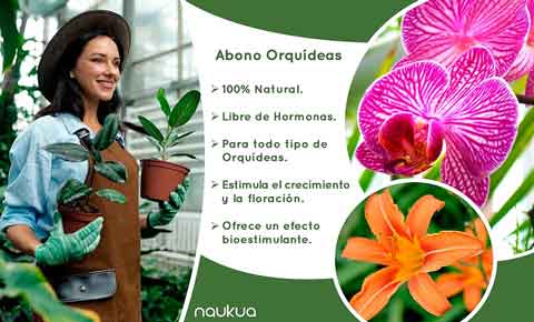 Naukua, abono orgánico y natural para tu colección de orquídeas. Ver en Amazon.