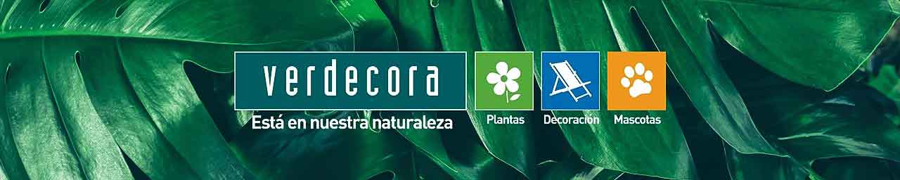 Verdecora está en Amazon. ¡Ven a descubrir la venta de plantas online y todos sus productos con la garantía de Verdecora!