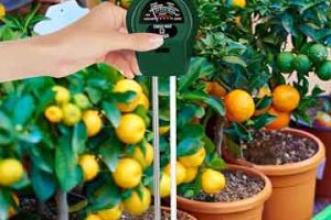 Un medidor de pH barato para tus macetas.
