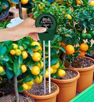 Un medidor de pH barato para tus macetas.