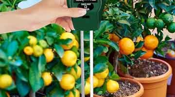 Un medidor de pH barato para tus macetas.